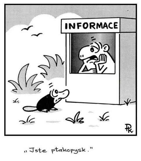 Kantorek uzitocna informacia