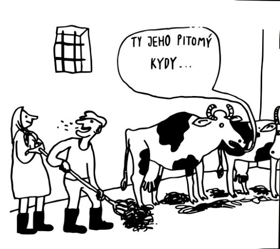 Hrdy tyjehopitom