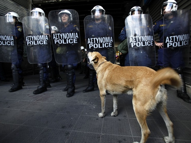 policia na zozranie