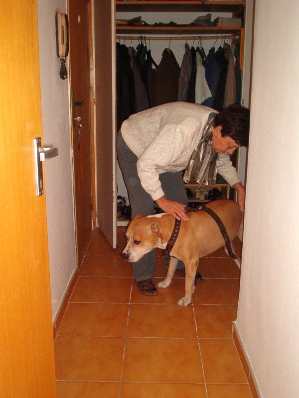 20051023.jpg