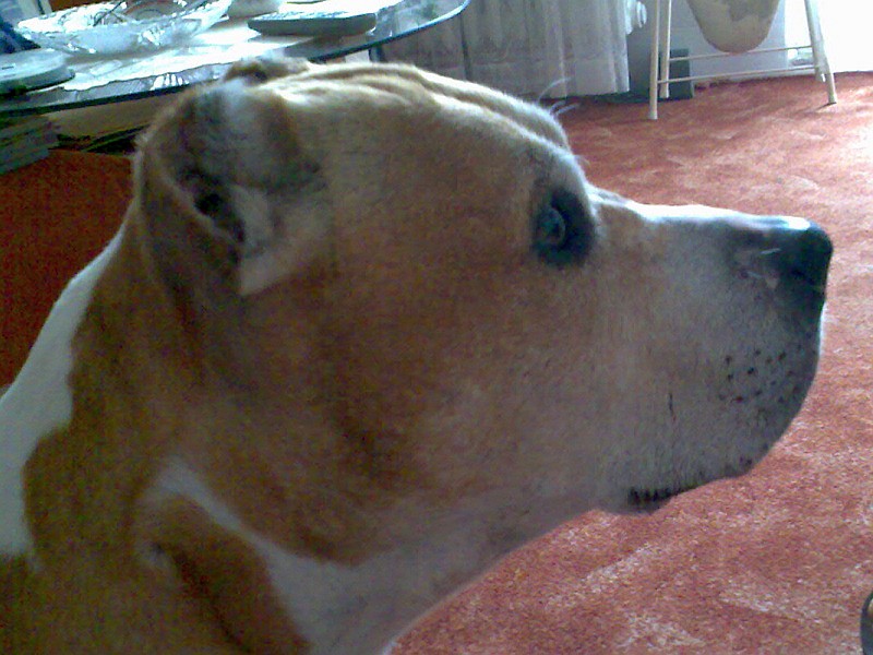 20070902.jpg