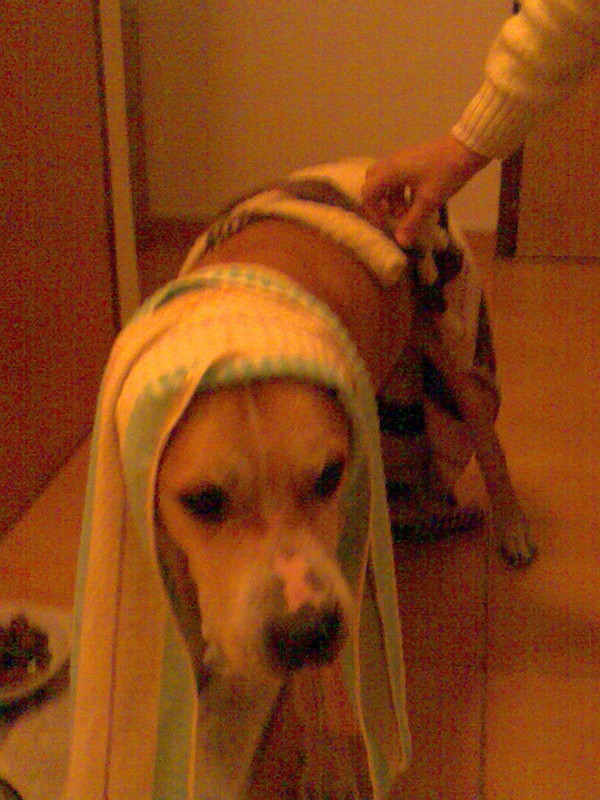 20070905.jpg