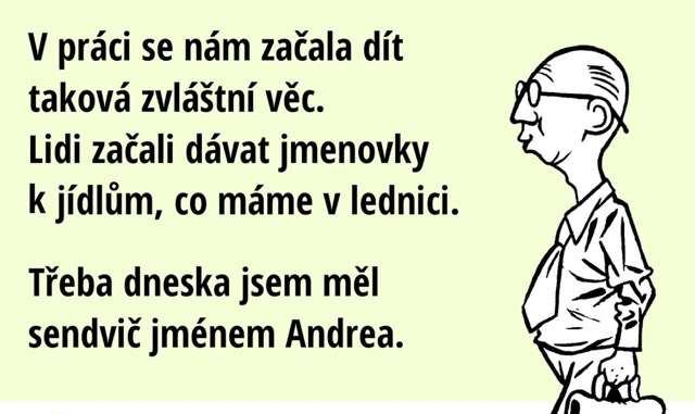 sendvic Andrea