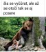 do otocenia dobre