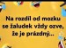 zaludek se ozve