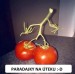 priroda tvori