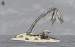 2026-04-14-Stroskotanec