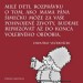 reprizujeme do volieb684083510_122206572710558824_2971543233261844710_n