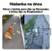 jednoducha otazka