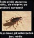 media horsie ako jadrova vojna