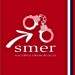 vizionarske logo smeru