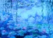 1000 Claude Monet Waterlilies foto