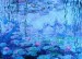 1000 Claude Monet Waterlilies